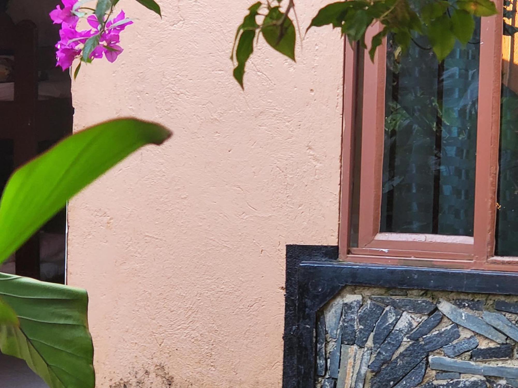 Gorilla African Guest House Entebbe Zewnętrze zdjęcie